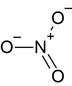 硝酸イオン