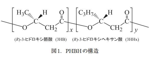 PHBH構造式